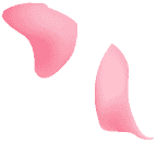 Floating petal